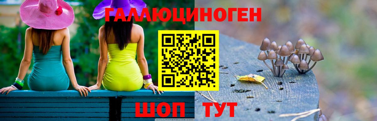 Псилоцибиновые грибы ЛСД Мурино